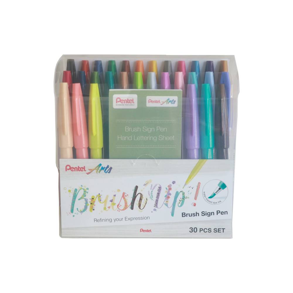 Pentel "30er Set Arts Brush Sign Pen Perfekt für Handlettering und